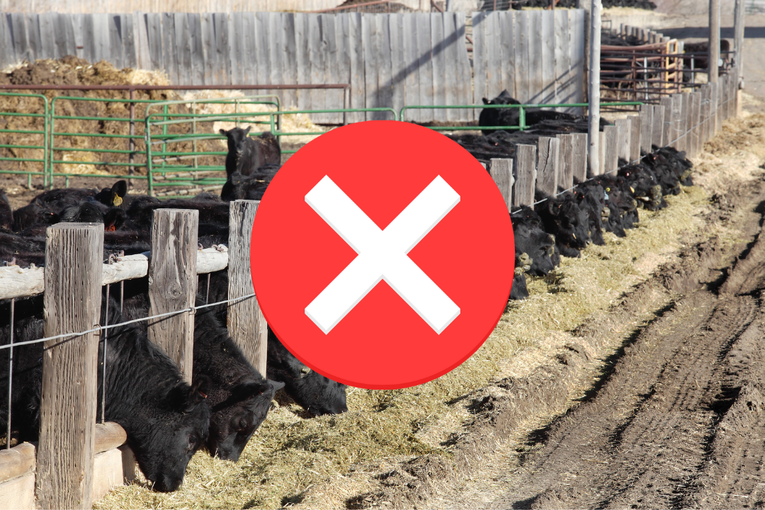 Conventionally-Raised Beef