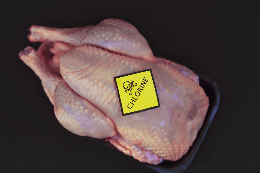 Chicken Chlorine Bath