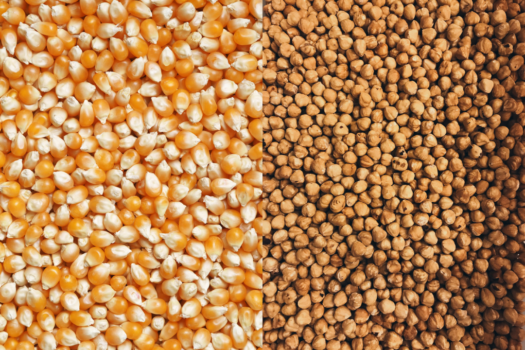 PUFA comes from corn and soy