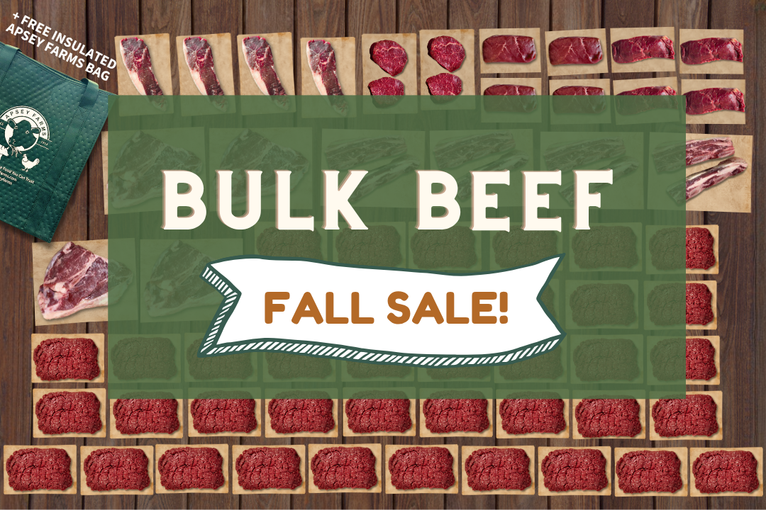 Bulk Beef Bundle